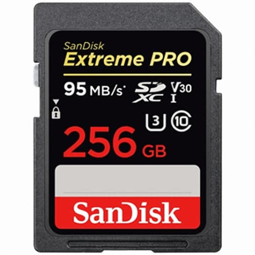 익스트림 프로 SDXC 256GB